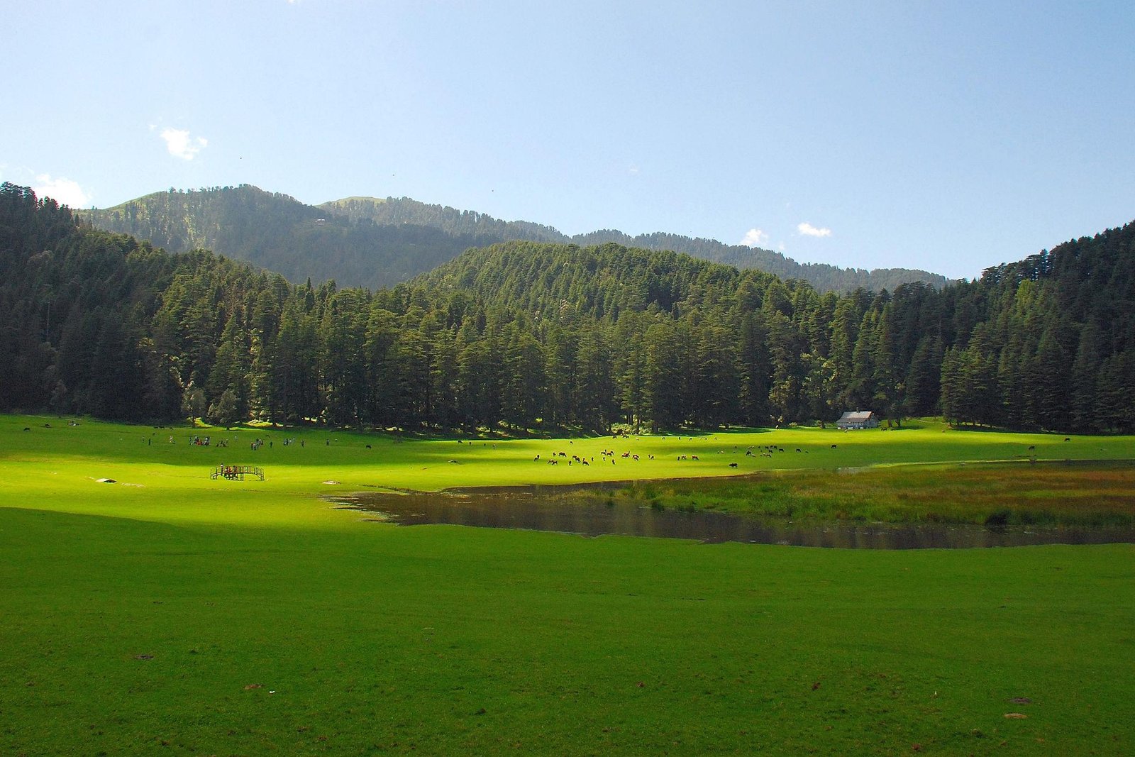 Best Time to Visit Dalhousie for a Perfect Stay